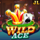 Wild Ace slot on Lucky Bingo
